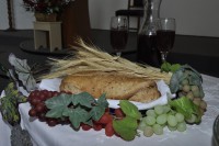 /album/calendario-de-eventos-pagina-inicial/dsc6688-jpg/